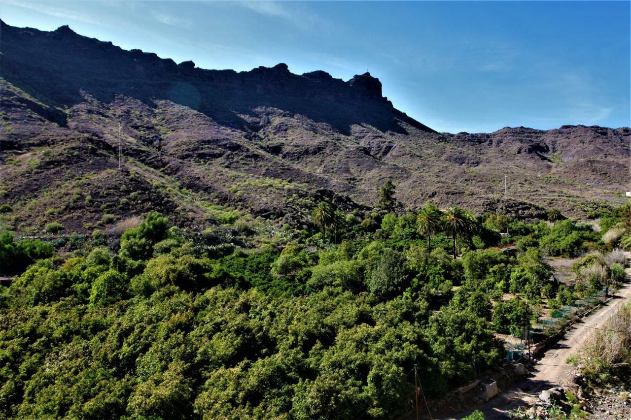 Open Sky Valley Mogán 外观 照片